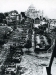 09_les_chars_entrent_a_lisieux_sur_l_avenue-de_la_basilique