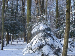 hiver-a-rocques-12