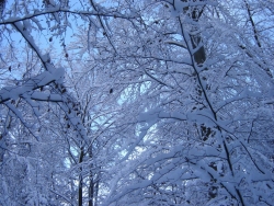 hiver-a-rocques-16