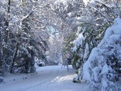 hiver-a-rocques-3