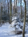 hiver-a-rocques-12