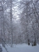 hiver-a-rocques-13