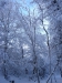 hiver-a-rocques-15