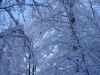 hiver-a-rocques-16