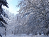 hiver-a-rocques-19
