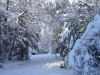 hiver-a-rocques-3