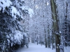 hiver-a-rocques-6