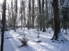 hiver-a-rocques-7